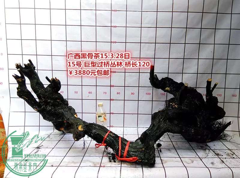 psb (48).jpg
