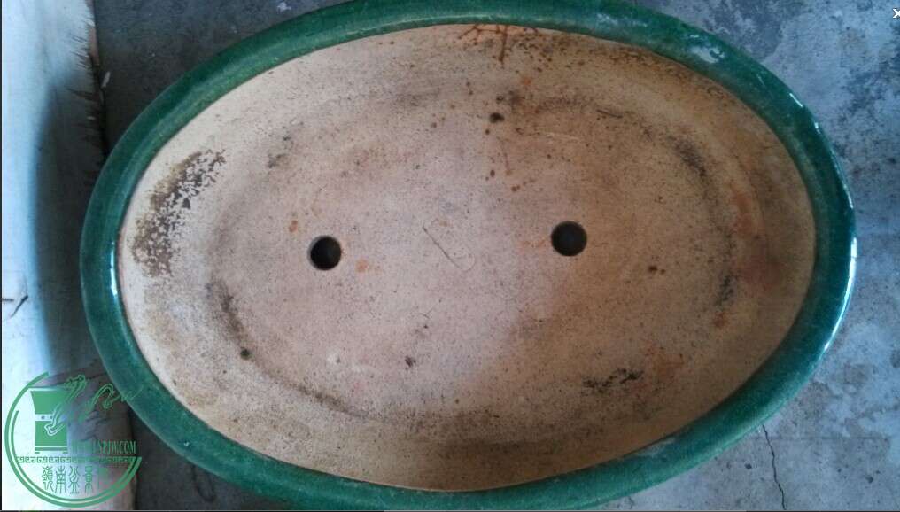 ⼪