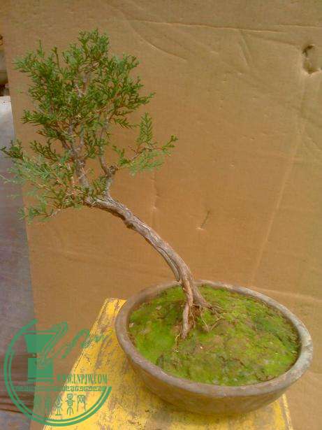 IMG0330134000.jpg