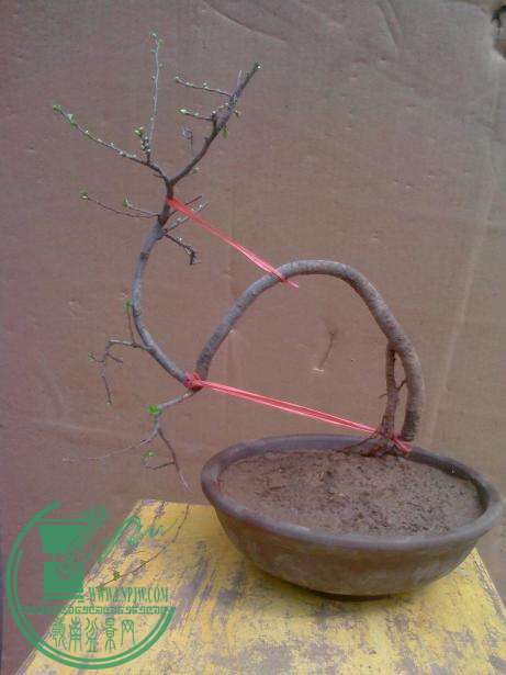 IMG0330134100.jpg