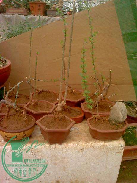 IMG0330134400.jpg