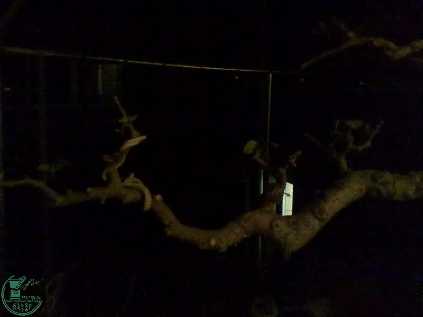 201503311068.jpg
