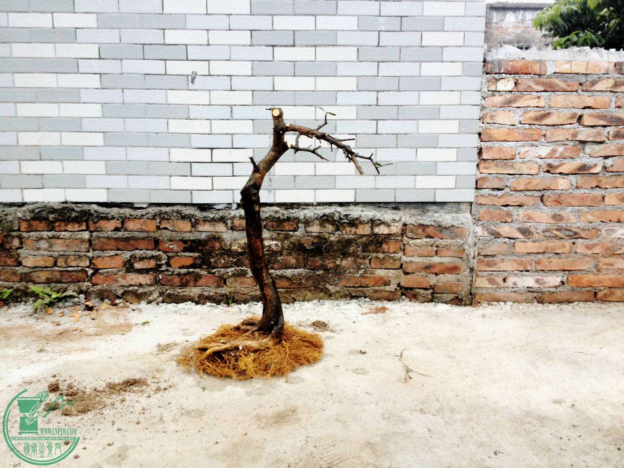 2.JPG