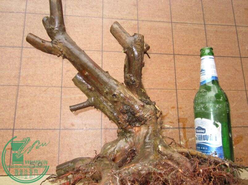 øȸ.jpg