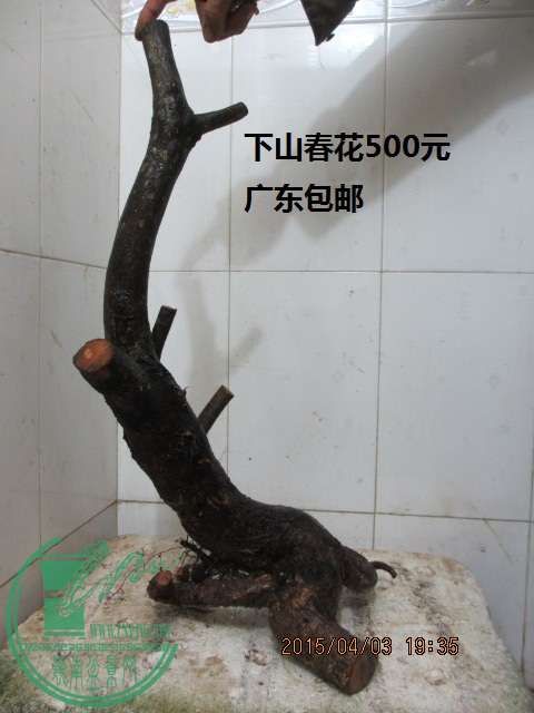 IMG_5998.JPG
