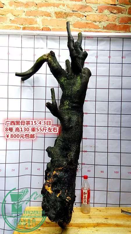 psb (17).jpg
