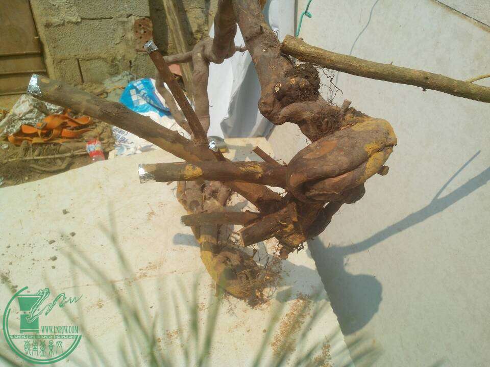 QQͼƬ20150404121754.jpg