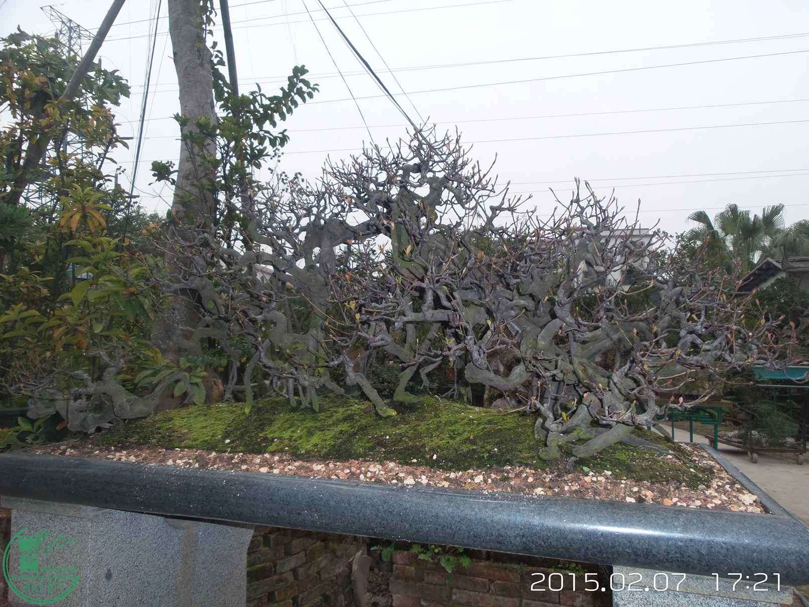 20150207_172119.jpg