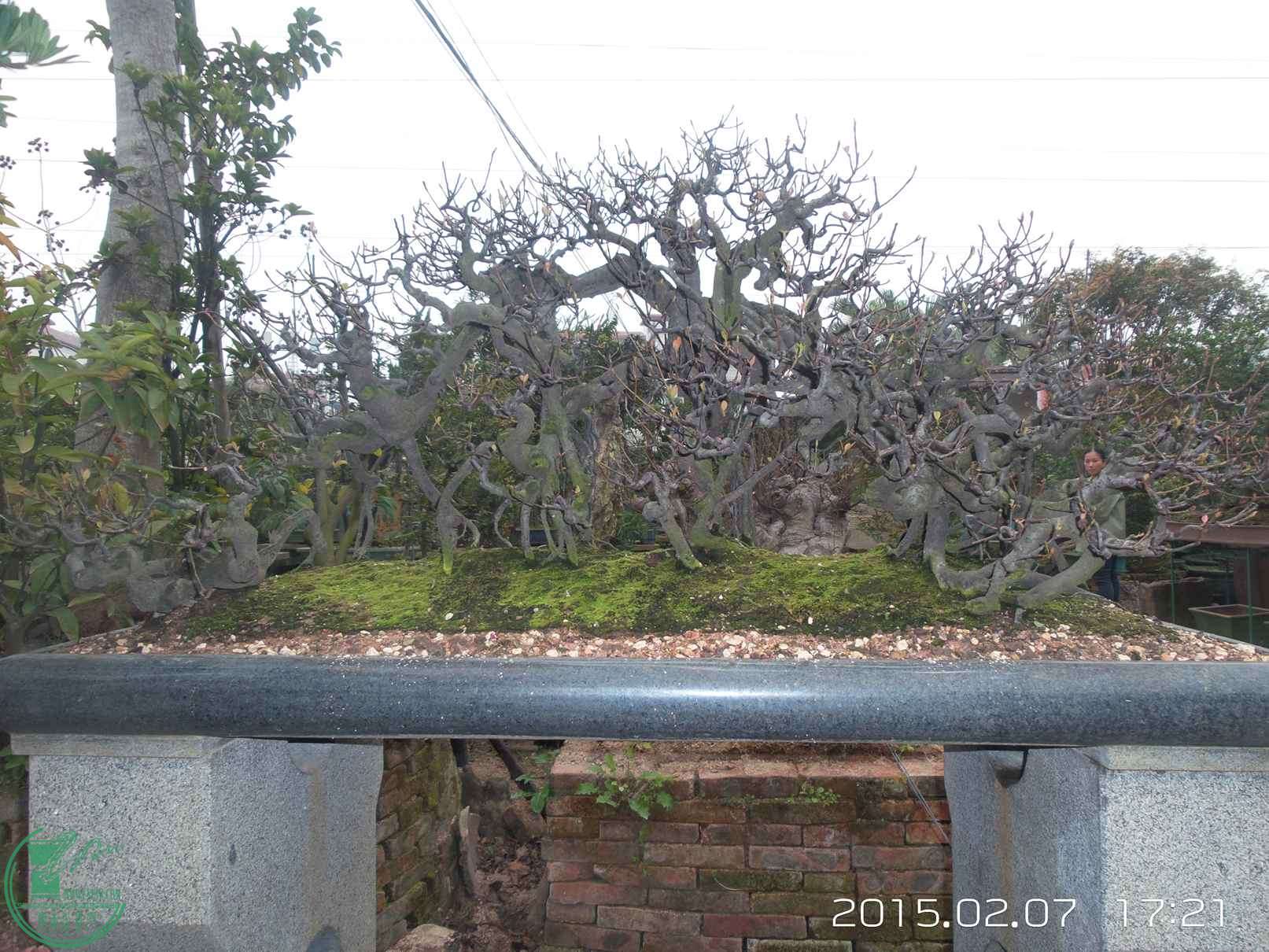20150207_172126.jpg