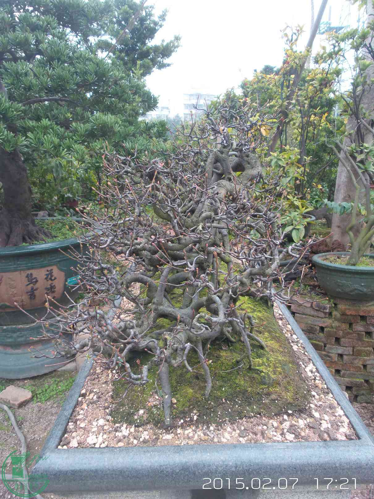 20150207_172134.jpg