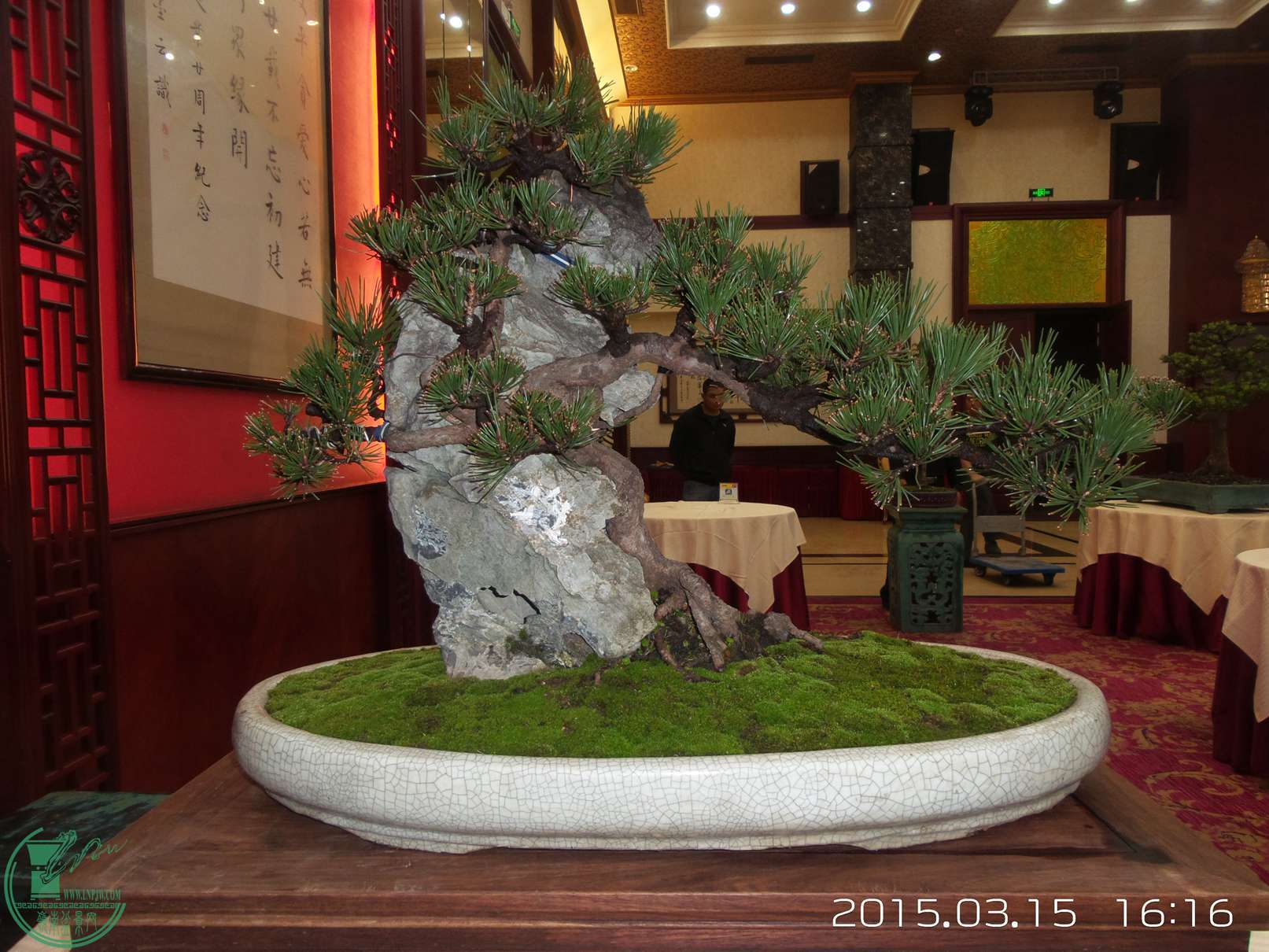 20150315_161643.jpg