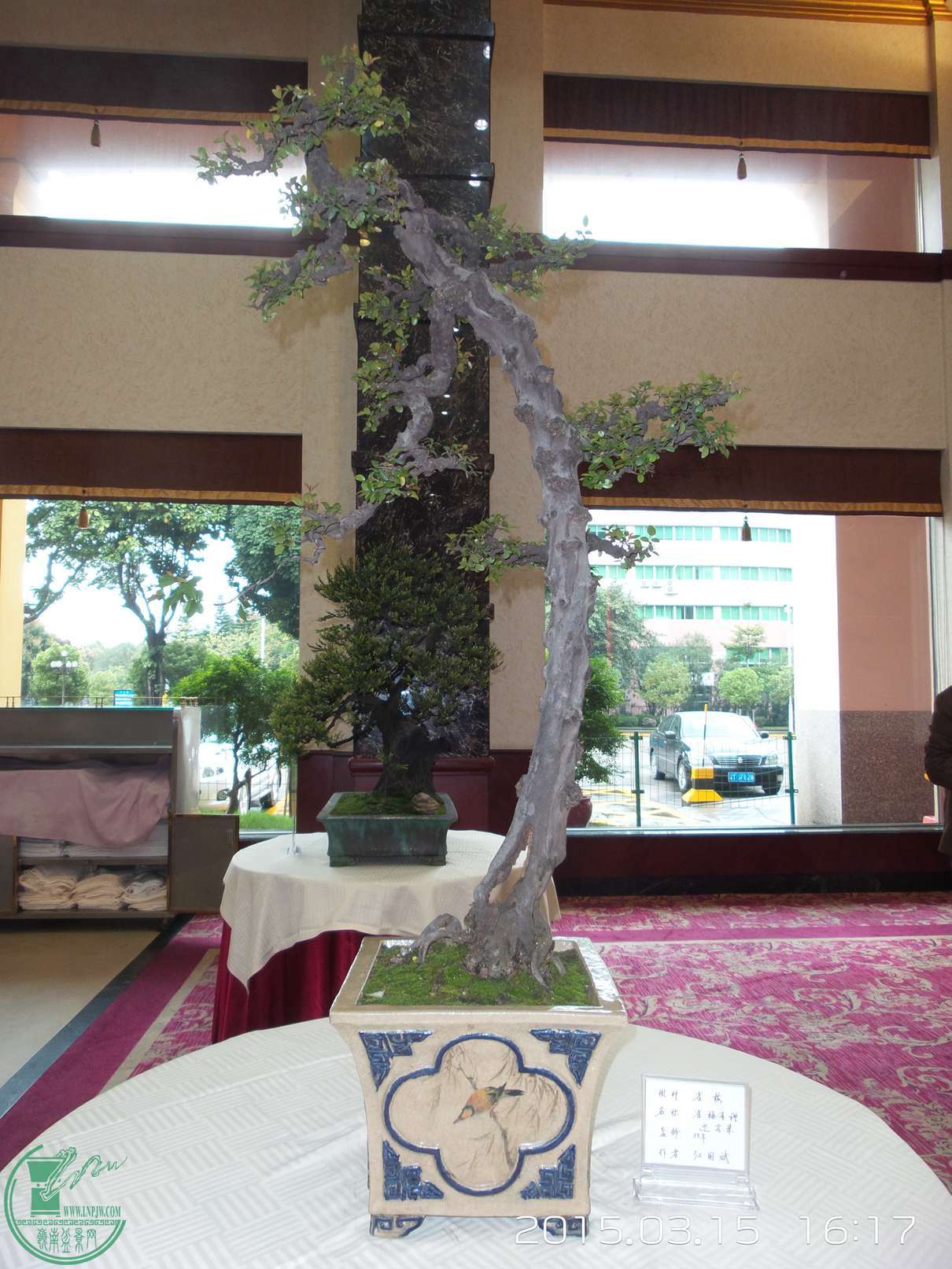 20150315_161724.jpg