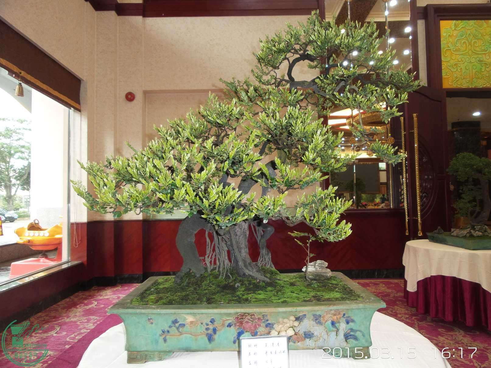20150315_161749.jpg