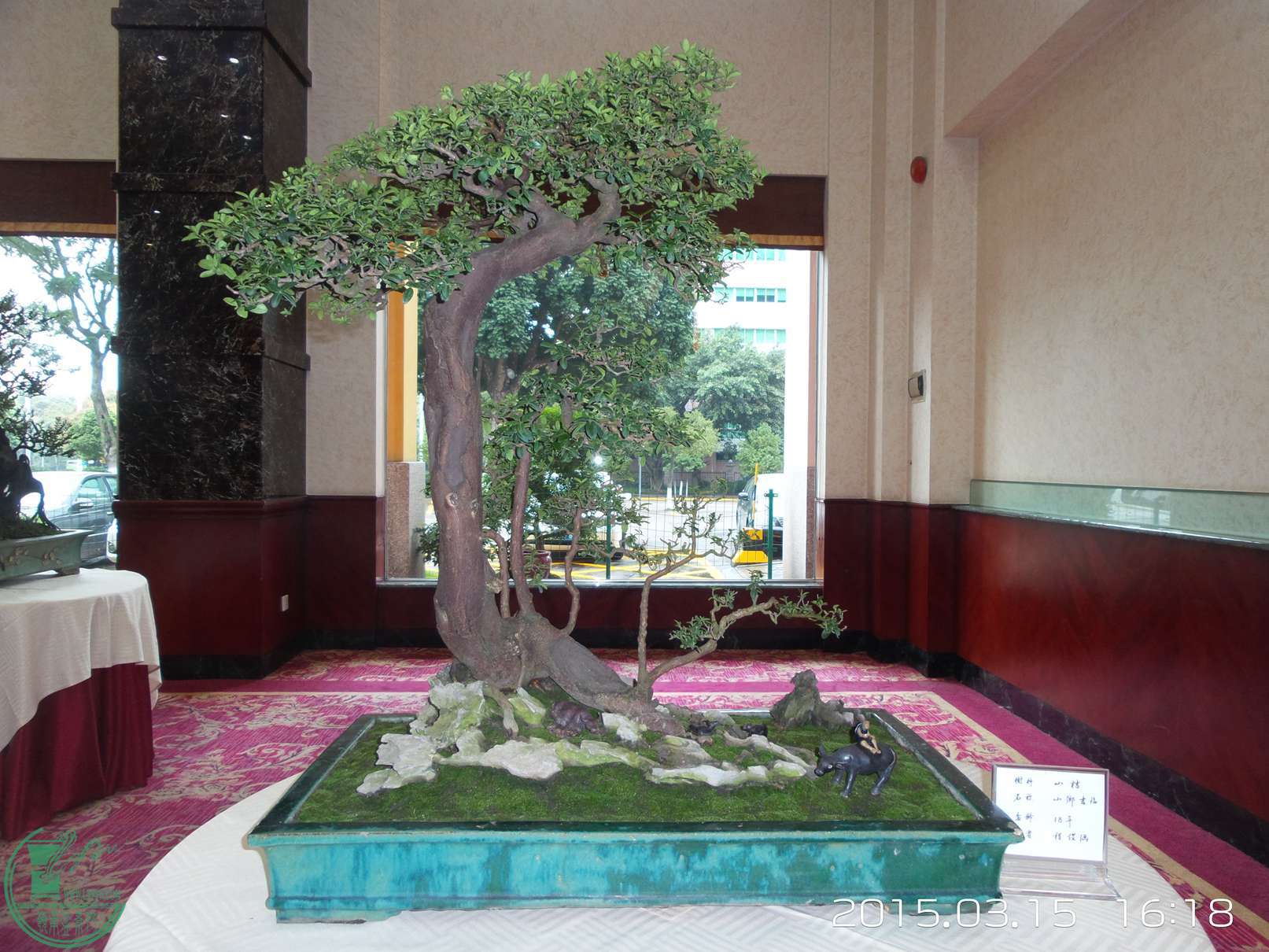 20150315_161822.jpg