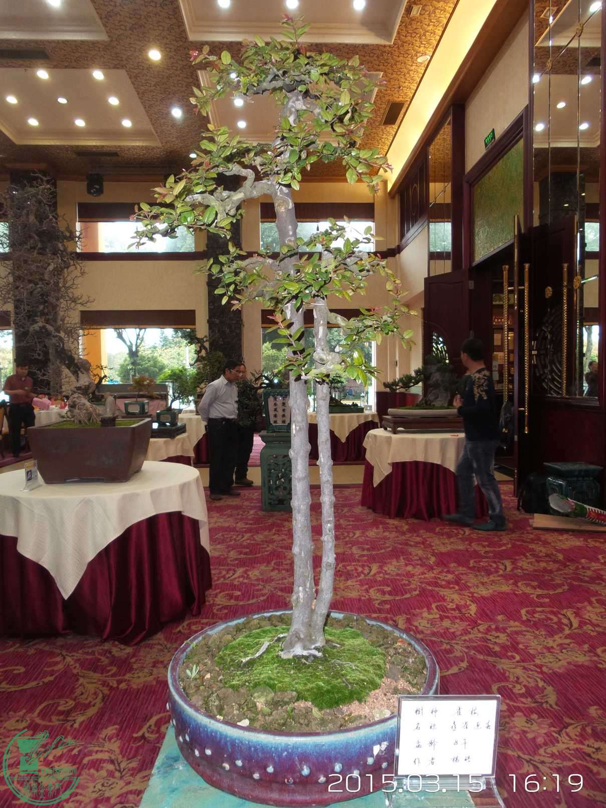 20150315_161903.jpg