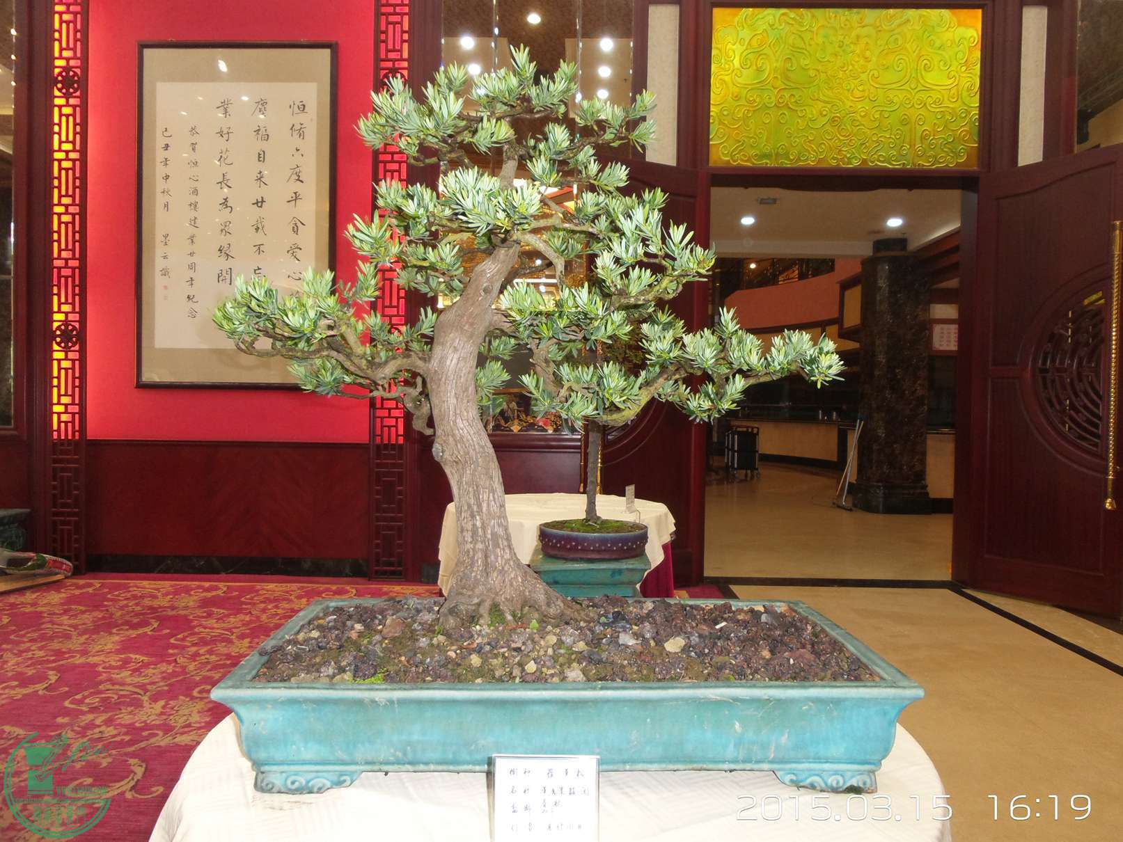 20150315_161924.jpg