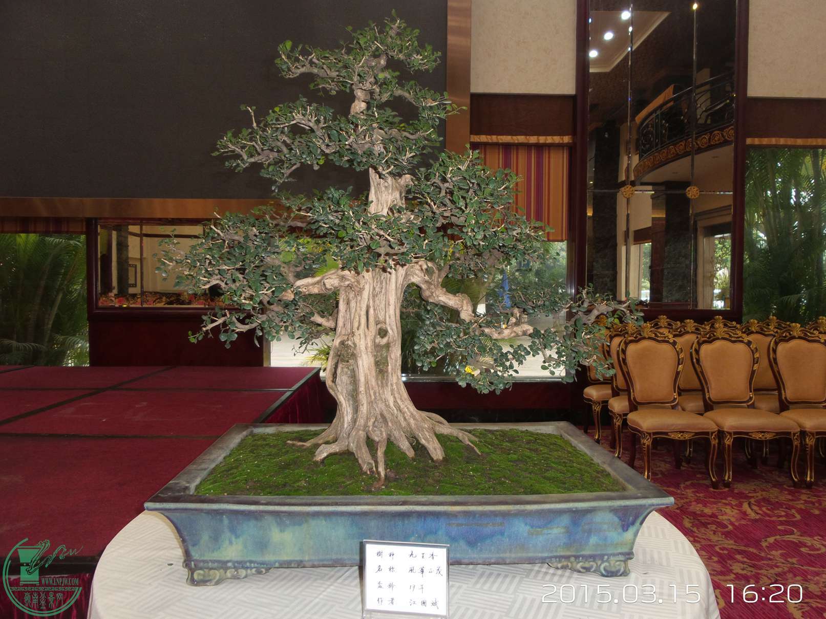 20150315_162039.jpg