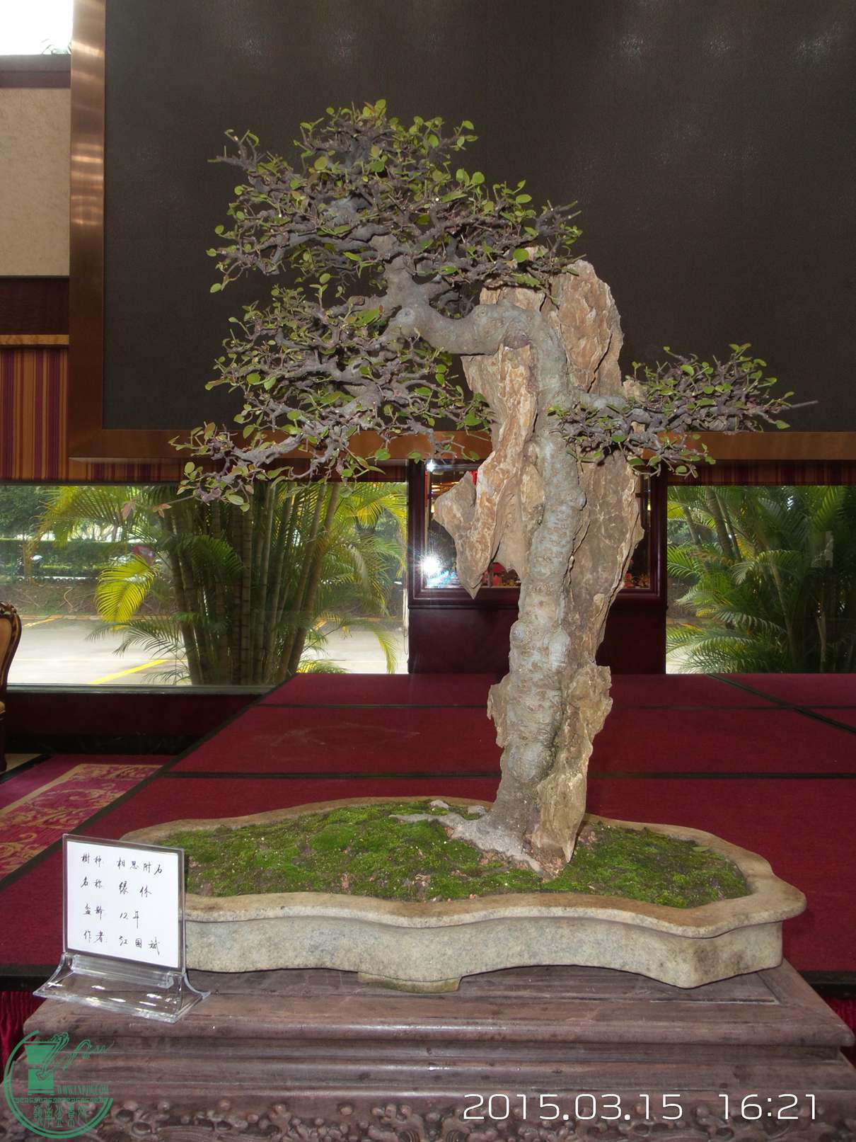 20150315_162147.jpg