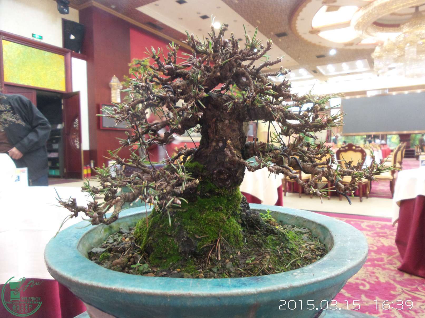 20150315_163958.jpg