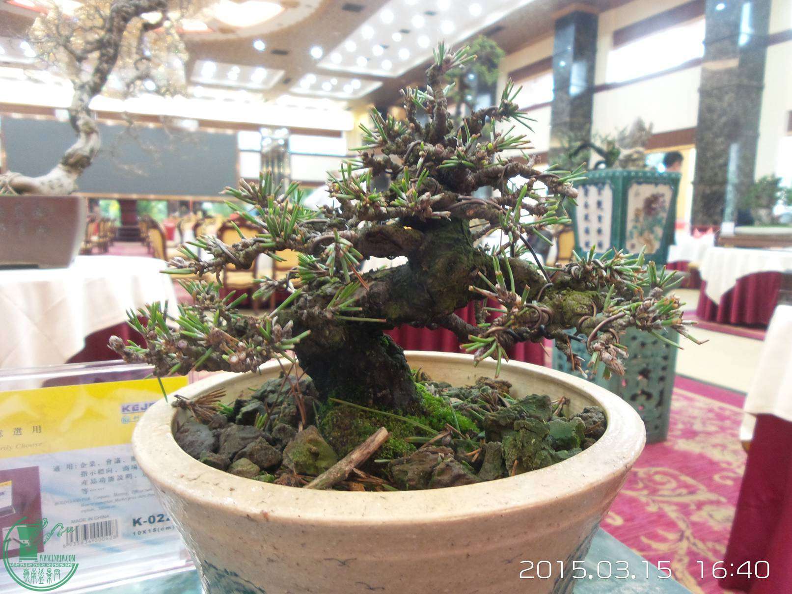 20150315_164016.jpg