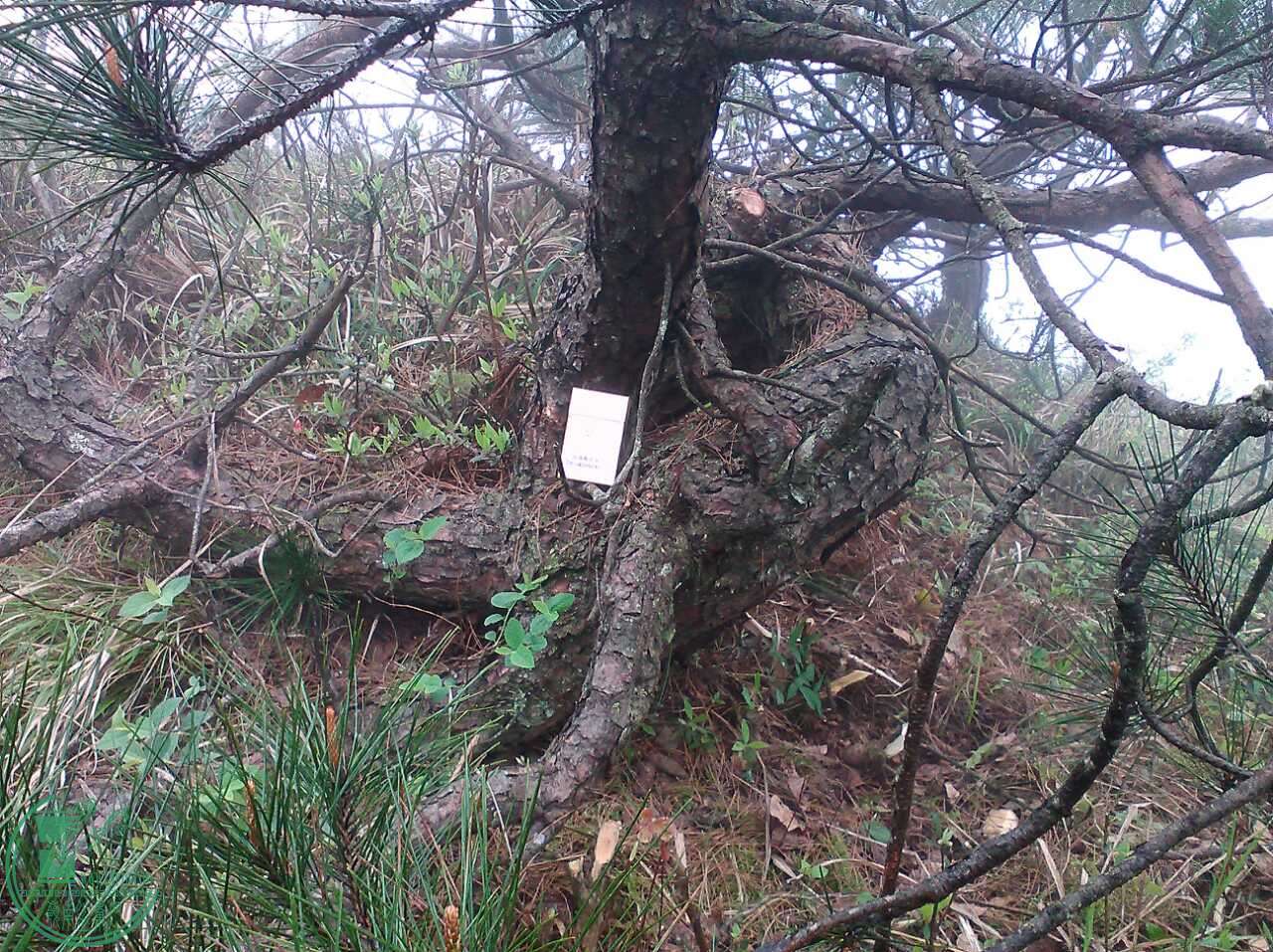 12012_303599863.jpg