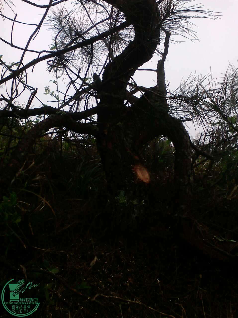 28258_303641796.jpg