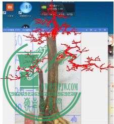 QQͼƬ20150407220642.jpg
