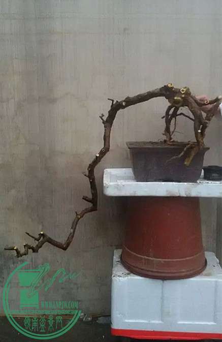 6_.jpg