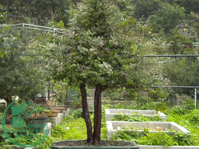 DSCN8016.JPG