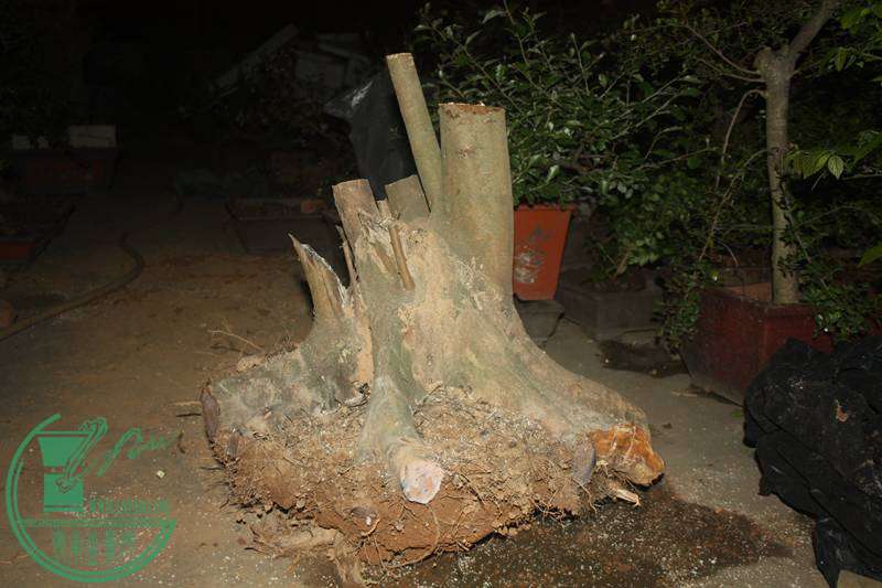 Ƭ20131026ۺ 2691.jpg