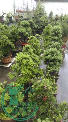 IMAG0260.jpg