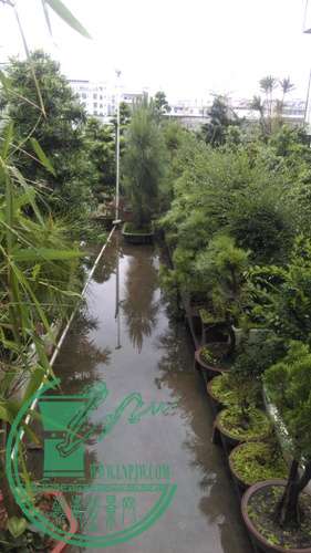 IMAG0255.jpg