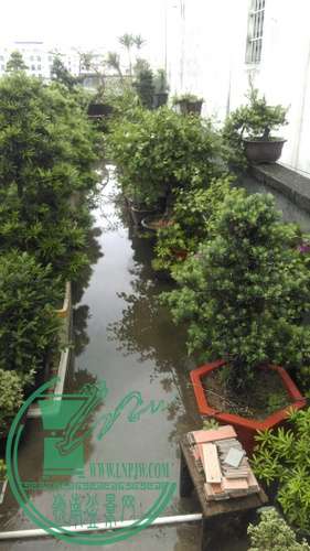IMAG0254.jpg