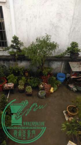 IMAG0252.jpg