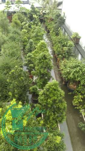 IMAG0240.jpg
