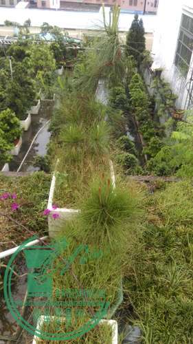 IMAG0246.jpg