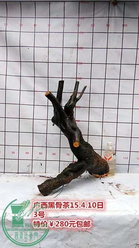 psb (10).jpg