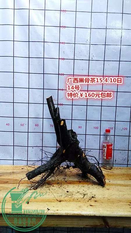 psb (42).jpg