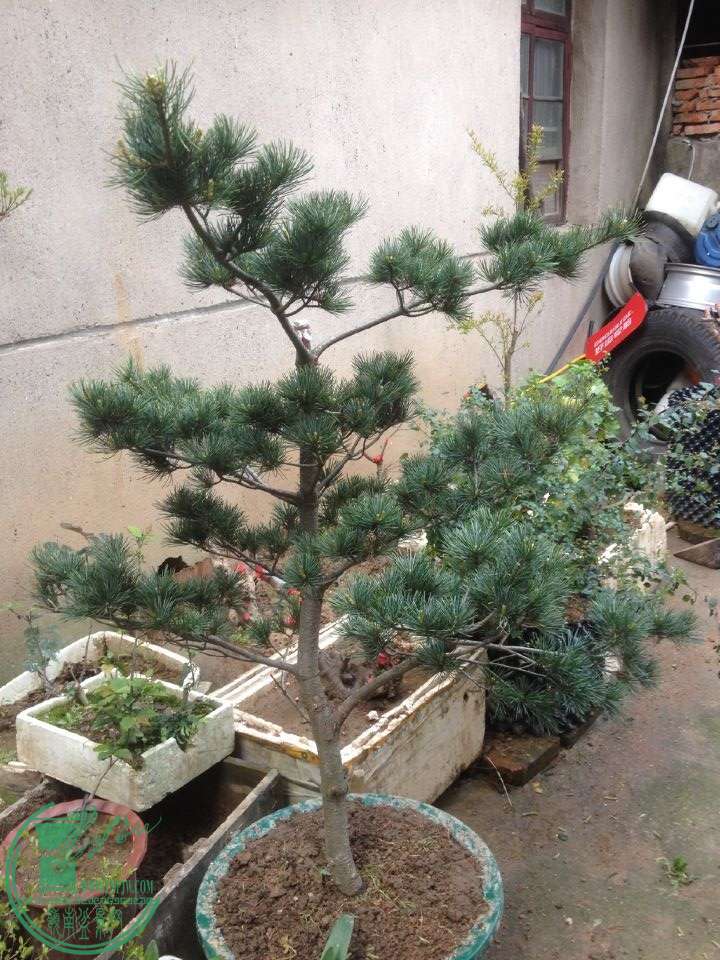 QQͼƬ20150411195320.jpg