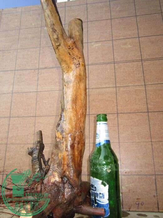 ȸ÷ܷ.jpg