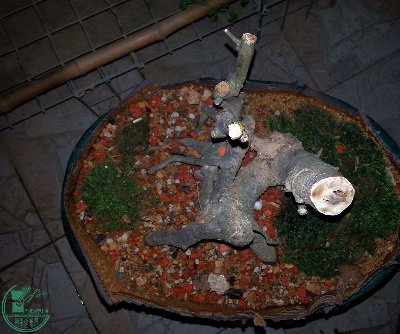 IMG20150412205254.jpg