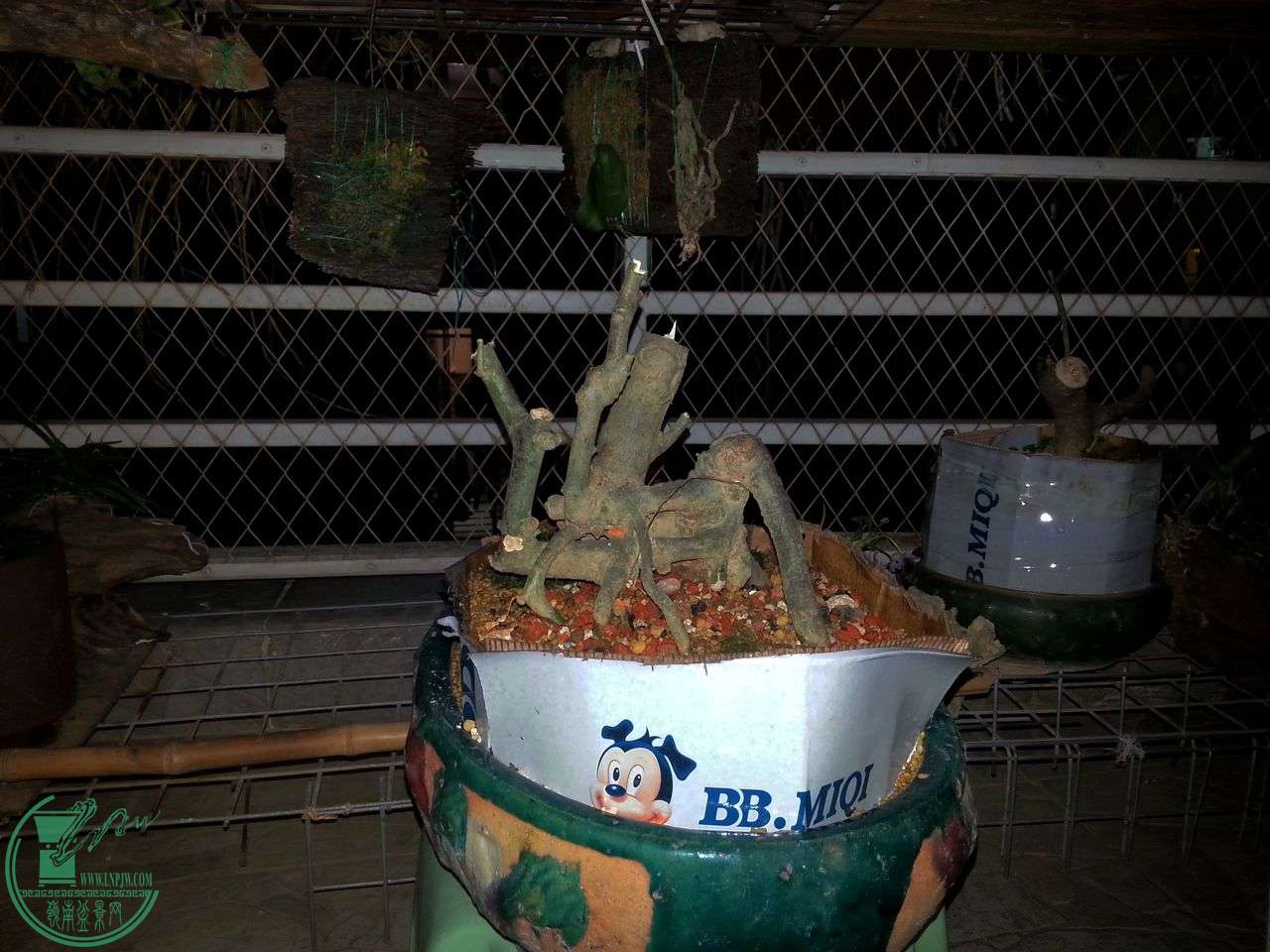 IMG20150412205124.jpg