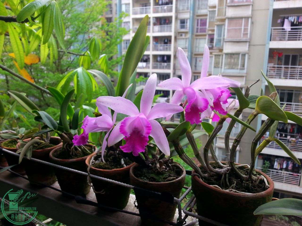 20150327_162426.jpg
