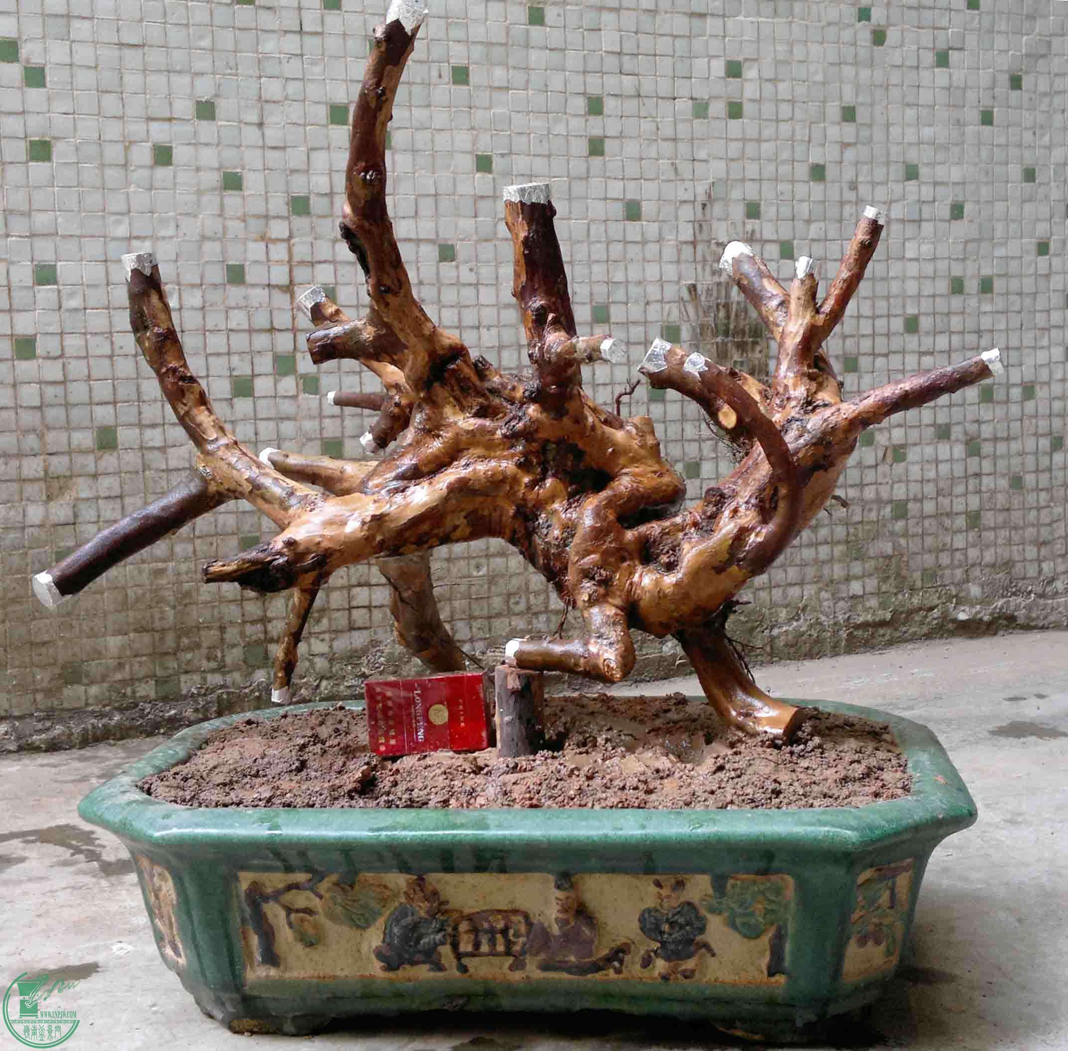 201504134830.jpg