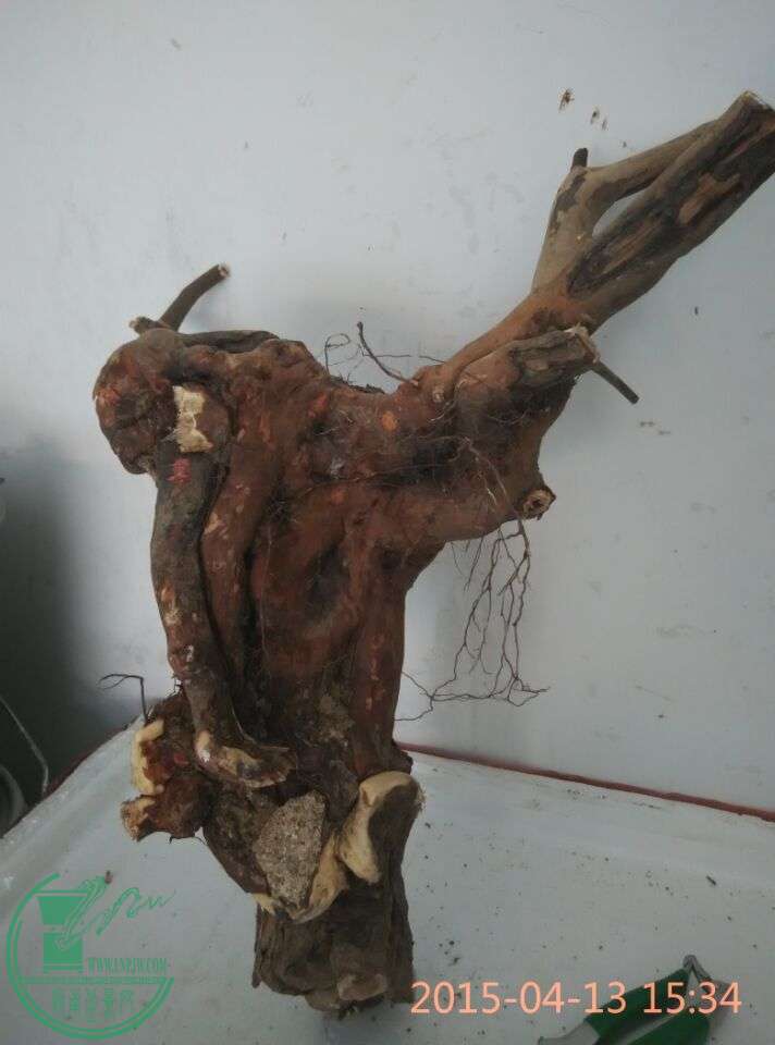 QQͼƬ20150413212716.jpg