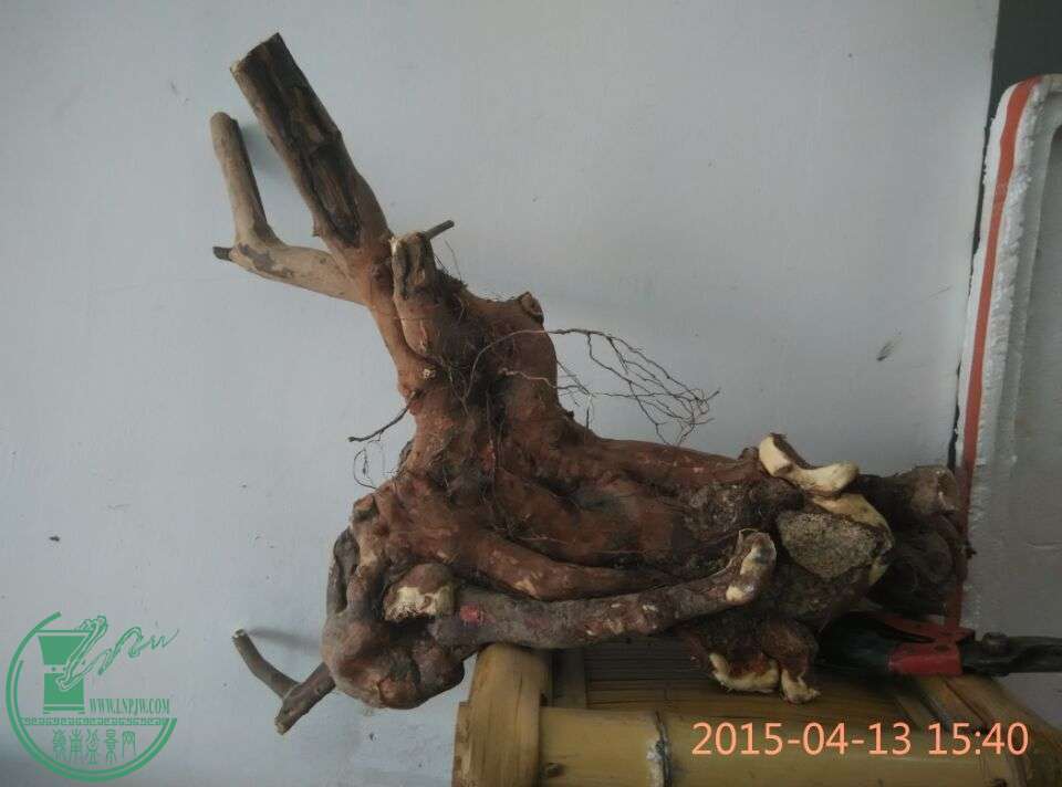 QQͼƬ20150413212651.jpg
