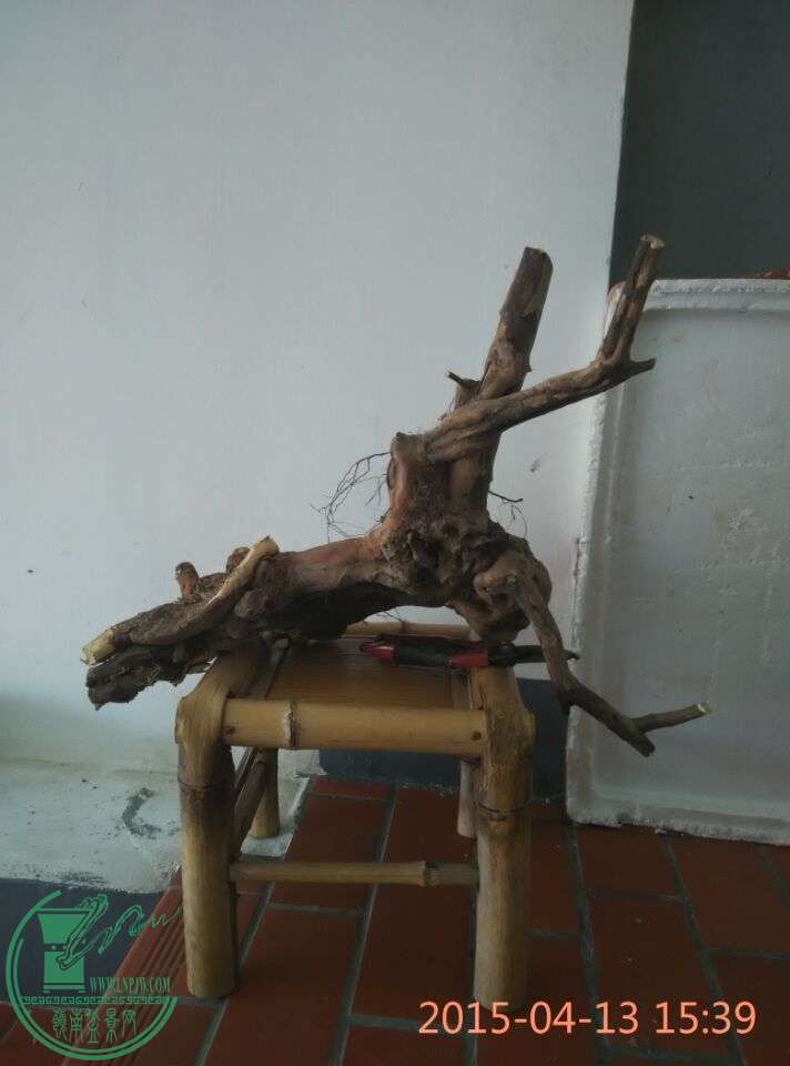 QQͼƬ20150413212707.jpg