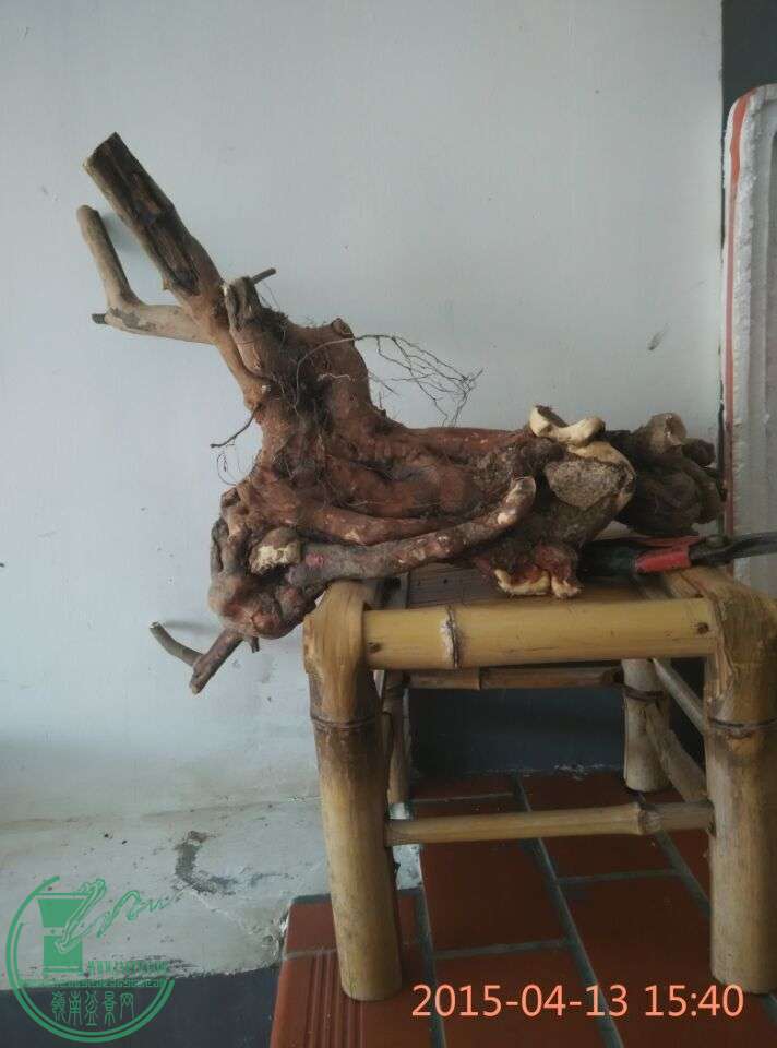 QQͼƬ20150413212703.jpg
