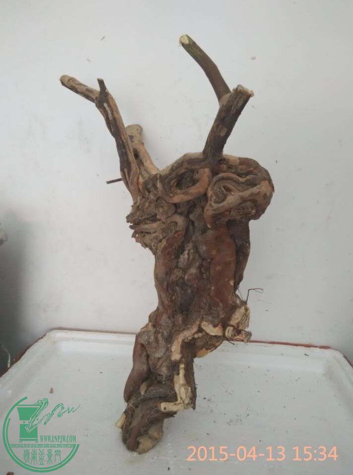 QQͼƬ20150413212622.jpg