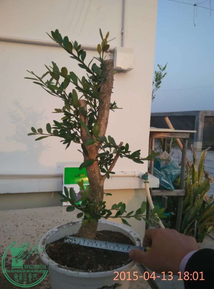 QQͼƬ20150413215218.jpg